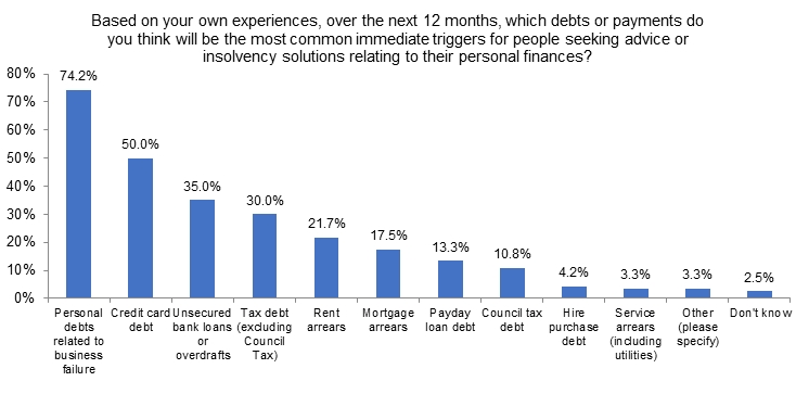 Bar chart showing the kinds of debt that survey respondents expect to be the most common triggers for personal insolvency